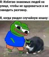 IMG20250611081313030.jpg