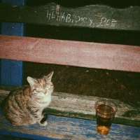 IMG20250505001117297.jpg