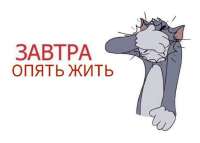 IMG20250616183401005.jpg
