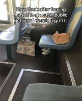 IMG8847.jpeg
