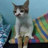 IMG5784.jpeg