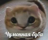 jcj8drskeXcUDxgc2jX1wXOhpN9vLmtXNyizZDBYyW5rSXOOntW0PmGeduvWzu58CacX75RWX2lpL8smkeA8bW.jpg
