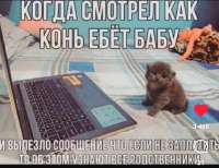 Screenshot20250621-212202Instagram.png