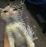 17471757861570.jpg