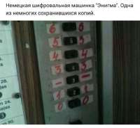 IMG20250703140959418.jpg