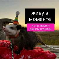 живу в моменте.jpg