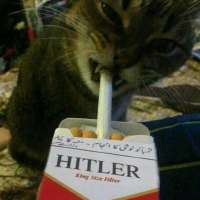 M4ThdLqj43U.jpg