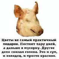 IMG20250706041451395.jpg