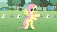 3299626.webm