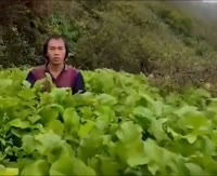 крш.mp4