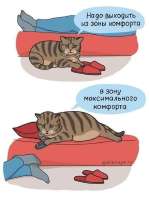 INRfIggm6-I.jpg