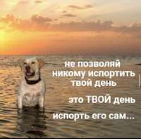 изображение2025-07-11033405780.png