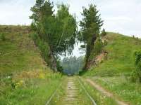 28a3d0e417edad637e87d8fa51186c8e.jpg
