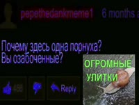 VID20250710152452.mp4