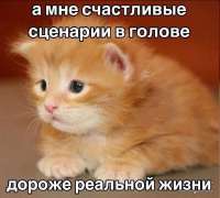 IMG7589.png