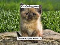 слабый духом.jpg