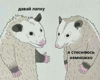 17512831374341-b.jpg