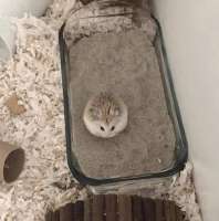 IMG5030.jpeg