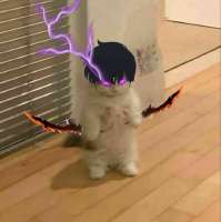 Y6sNNeFbklU.jpg