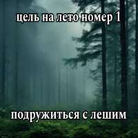 17478284349382.jpg