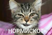 IMG20250806234640292.jpg