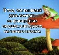 IMG20250727144707505.jpg