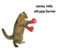 17543700596621.jpg