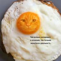 17537534565890.png