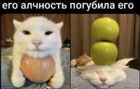 6706e0ddbae46e1819d44a32.jpg