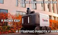 IMG3110.jpeg