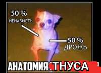 17274377051210.jpg