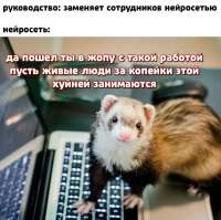 IMG20250811143828978.jpg