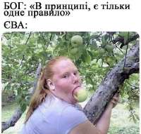 IMG20250427185252463.jpg