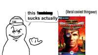 41.jpg