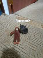 y9VuCem0WesGldlx5NprriDgOuUerFHgJPprhYbVT47IAEcxujKXa367DfqYAdSThYExnkwxJvqyHoowYkZl34.jpg