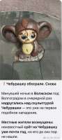IMG5351.jpeg