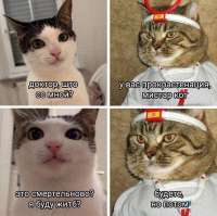 котэ-прокрастинация-8776129.png