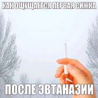 175577770175520605.jpg