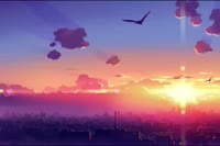 1734115728621.webm