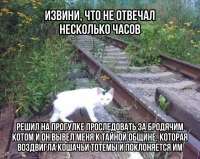 IMG20250819194925919.jpg
