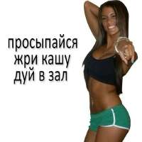f8199a7312d30bbe0392bae8381af3f2.jpg