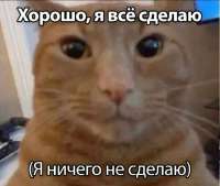 17442068797873.jpg