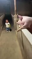 17417131177120.mp4
