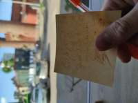 IMG20250620201127.jpg