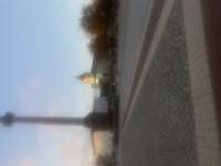 IMG7343.jpeg