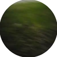 doc2025-05-1701-09-29.mp4