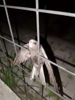 IMG20250522215829726.jpg