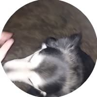 1744661789734.mp4