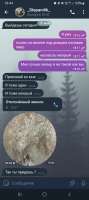 Screenshot20250515194422Telegram.jpg