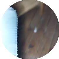 1747340256497.mp4